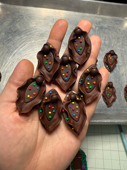 Vulva Magnets