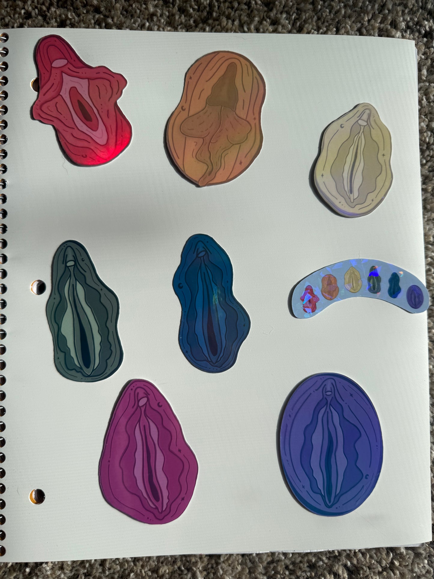 Vulva Waterbottle Stickers