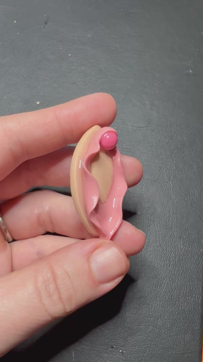 Vulva Magnets